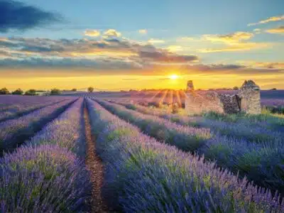 Uitzicht over de Franse Rivièra; ter illustratie van de drinkbaarheid van water in Frankrijk.