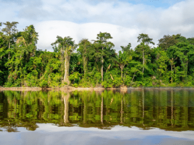 Panoramisch uitzicht op een brede rivier in de jungle van Suriname; gebruikt als illustratie voor de gids over kraanwater.